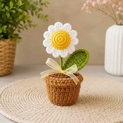 Handmade Crochet Flower Pot (Set of 3)